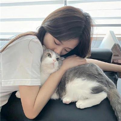 雾的子午线