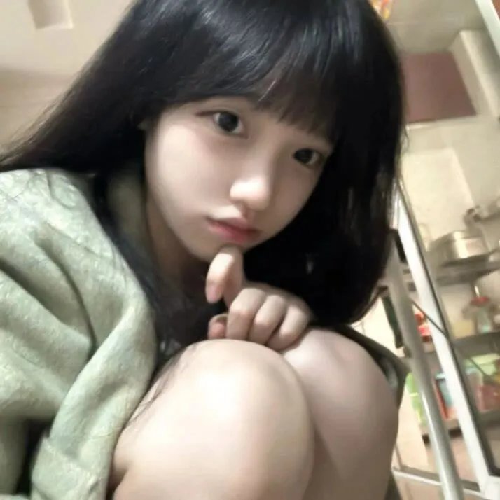明月守护者